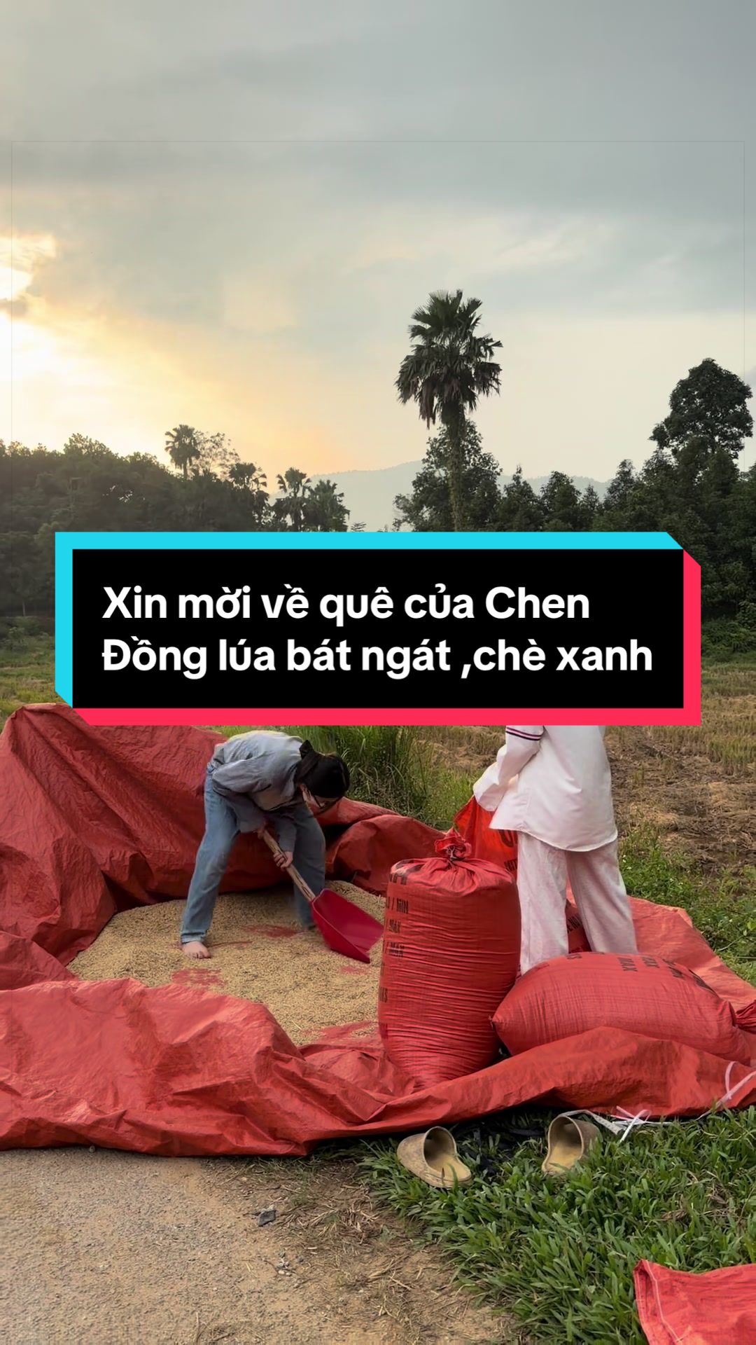 @Chen 🍊👹