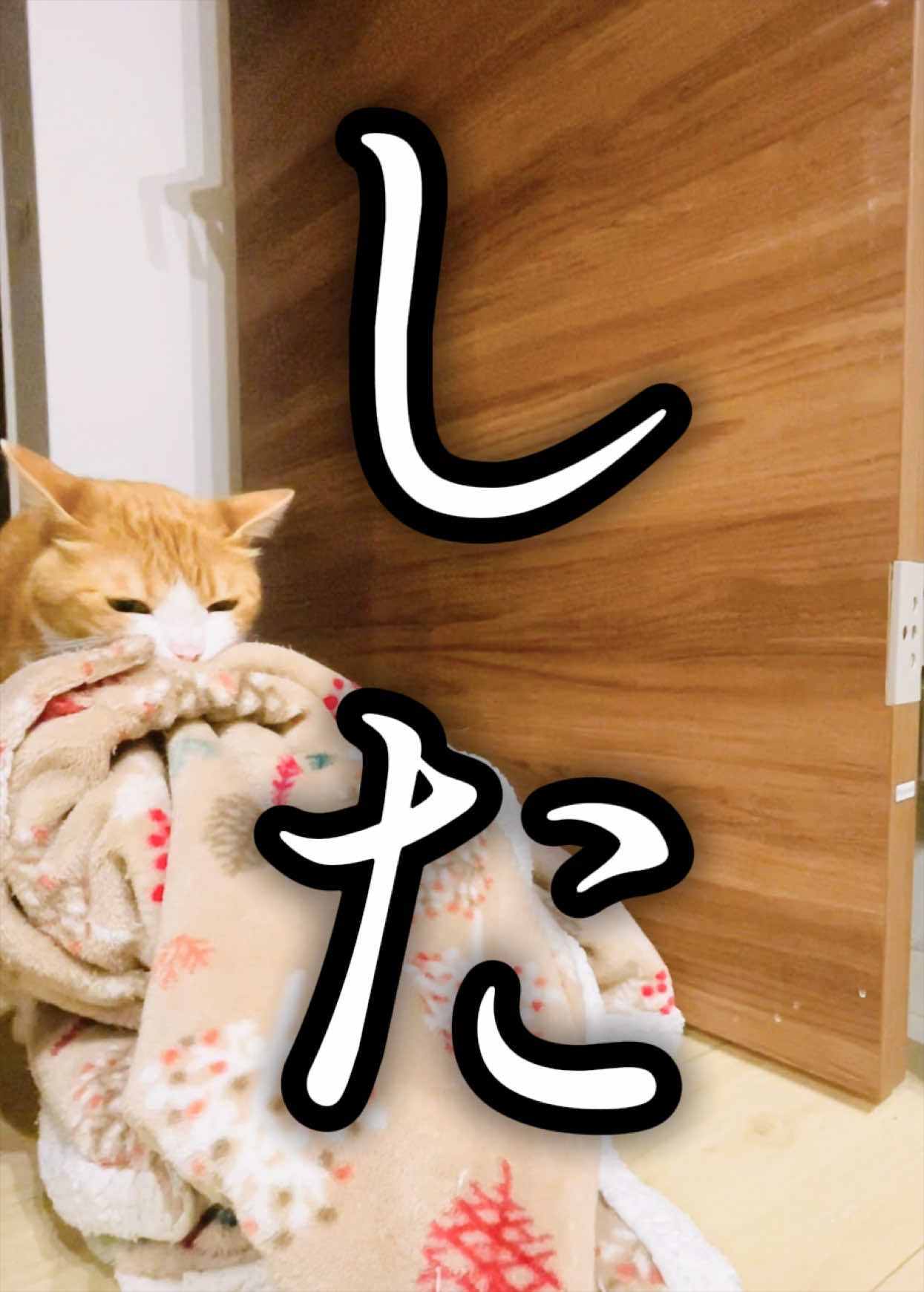 @みーこchannel