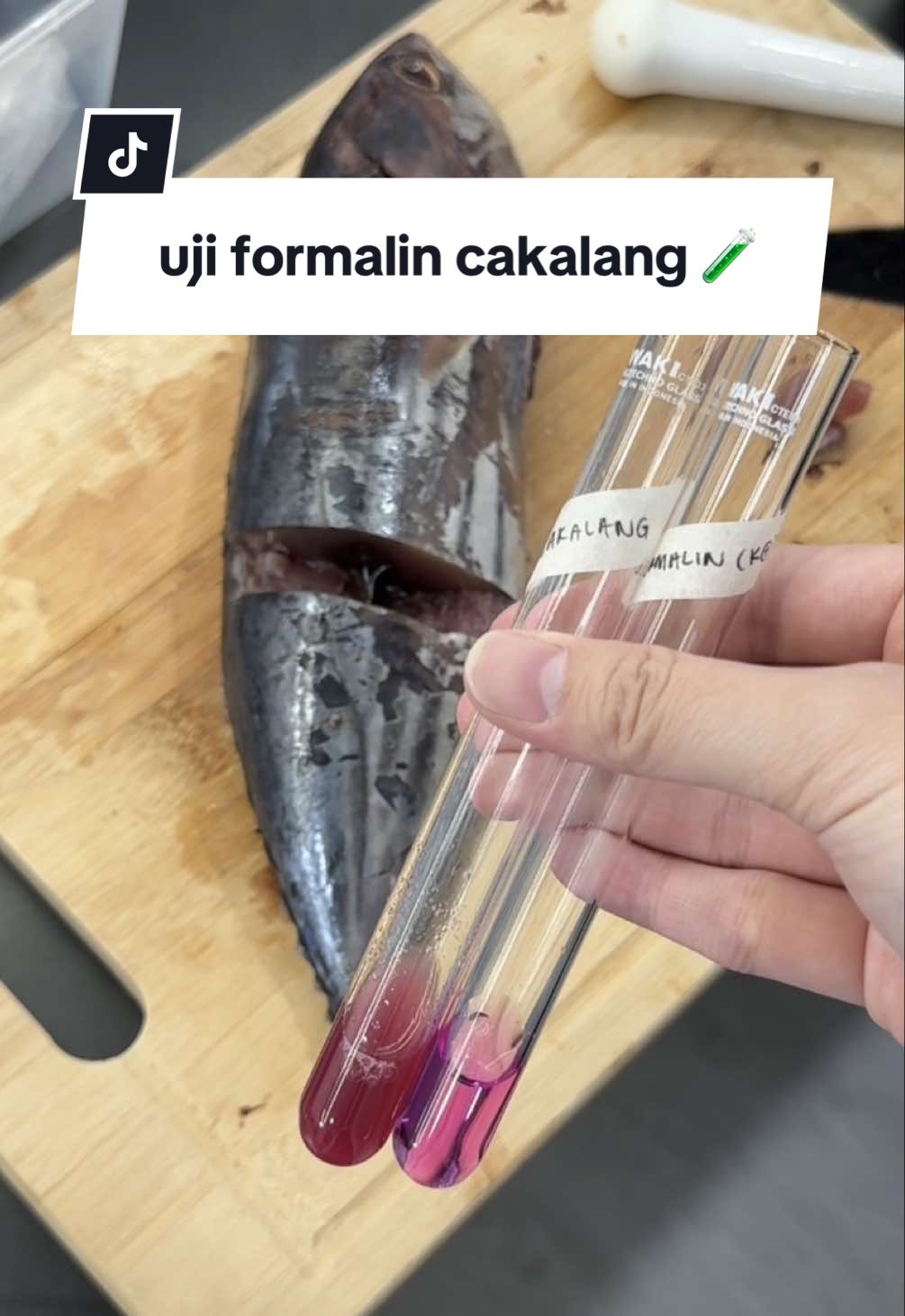 @andrea👩🏻🔬