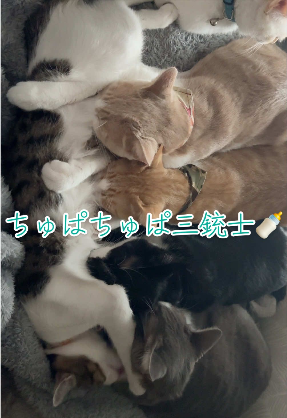 @はっぴー野郎☺︎