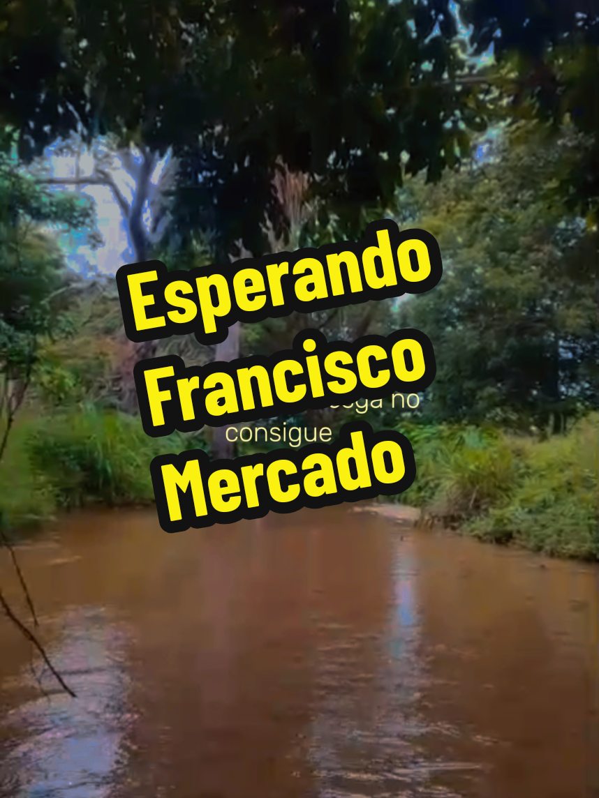 @LlaneritaOficial