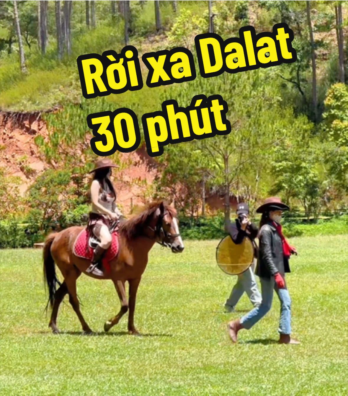 @Hỷ Lạc Du Ký 🇻🇳