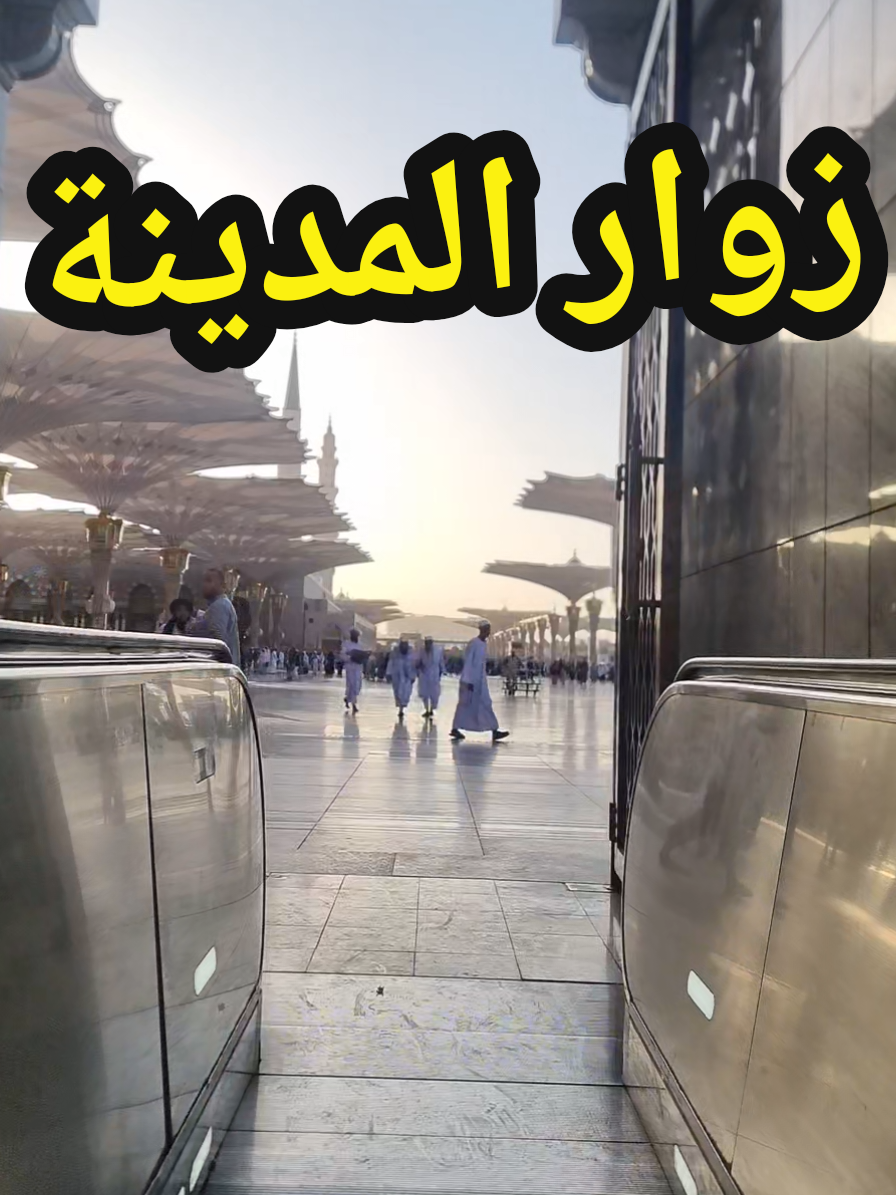 @سعود من المدينة المنورة 🛑