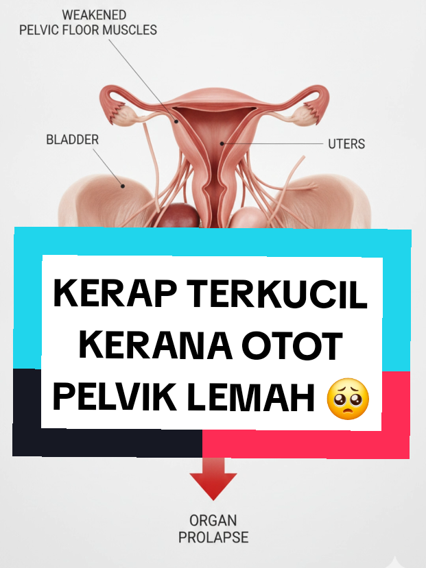 @Rawatan Kulit,Echo,Antenatal