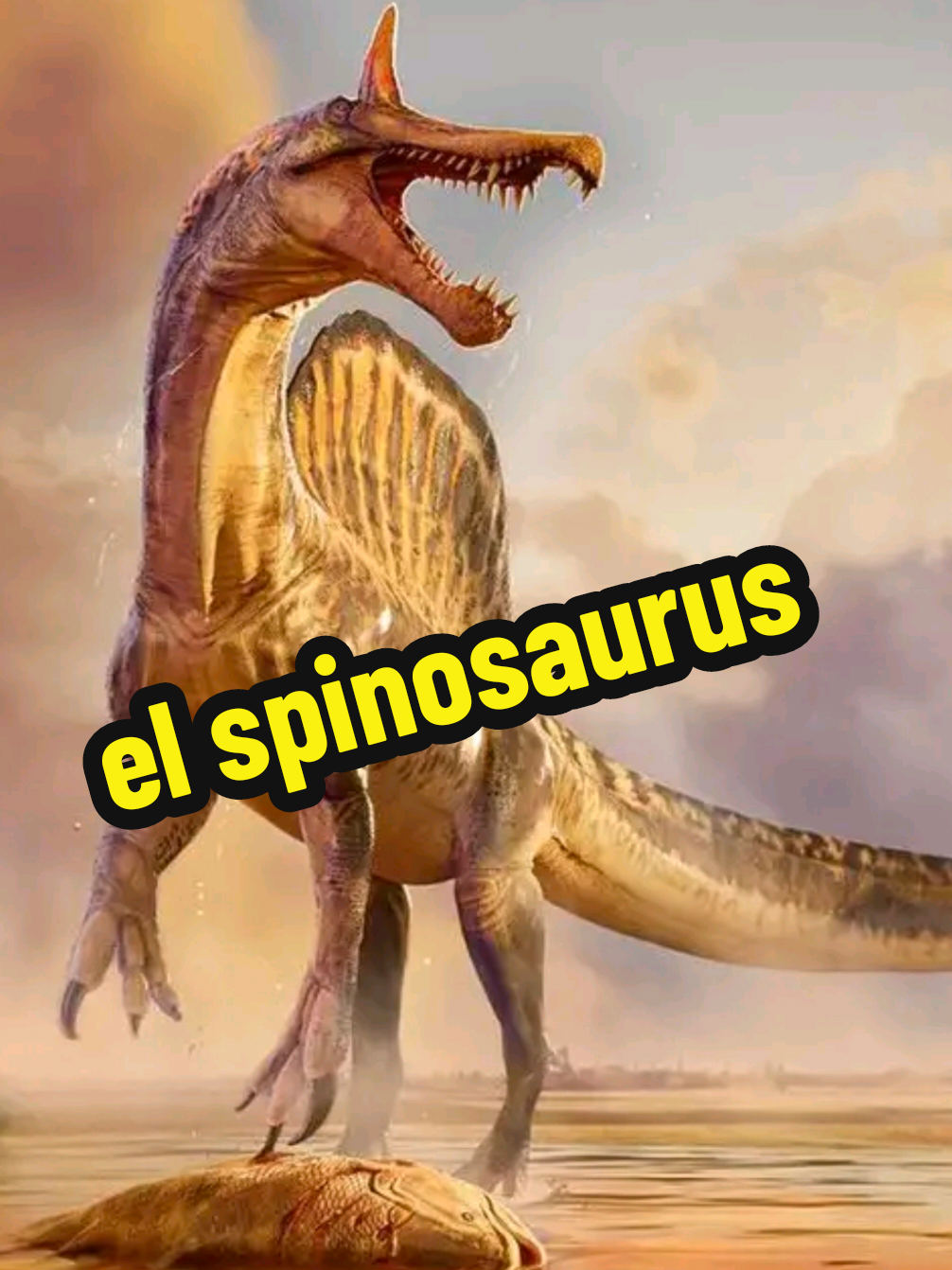 @nolosejose
