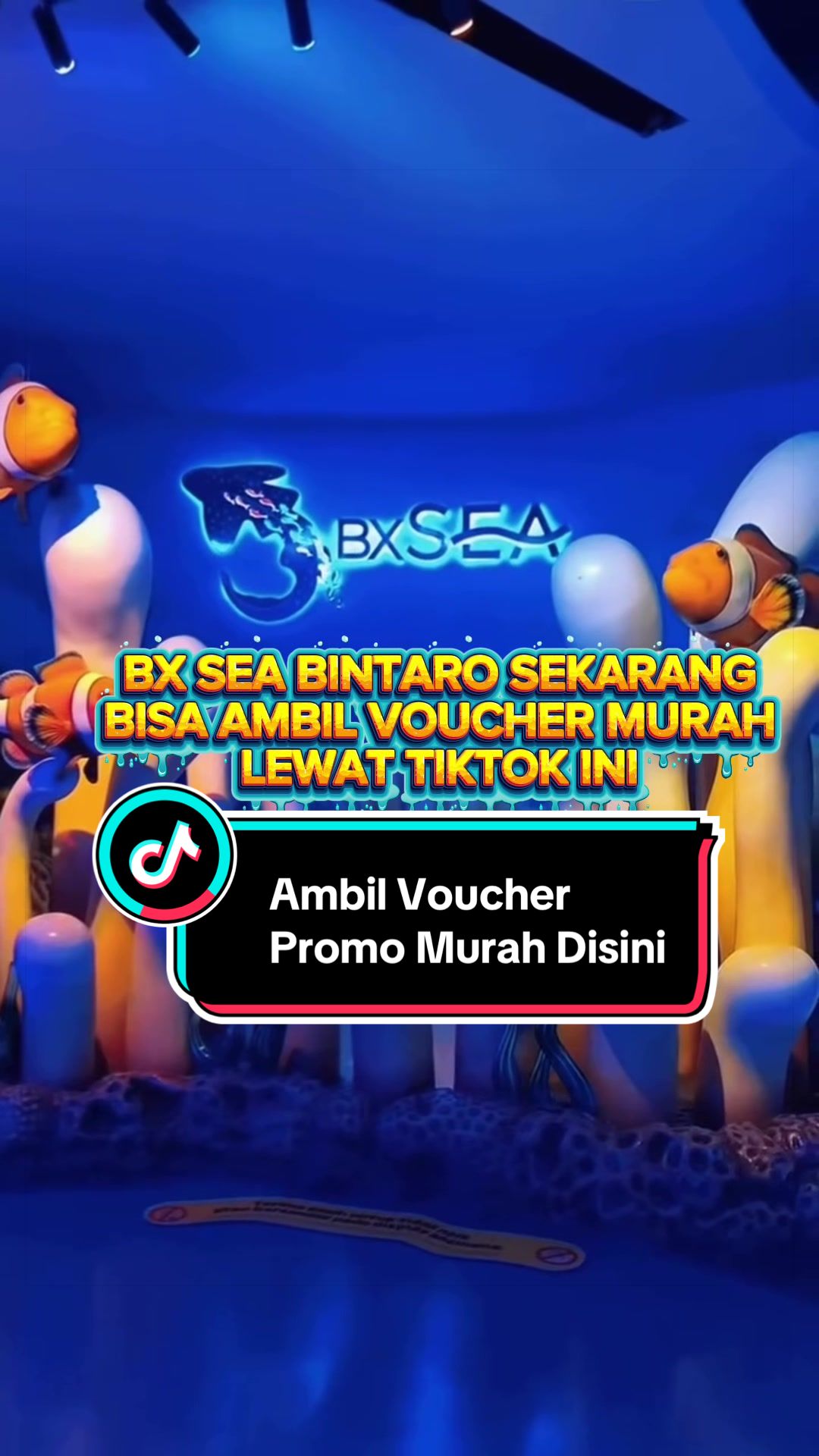 @KATALOG - Voucher Tiktok