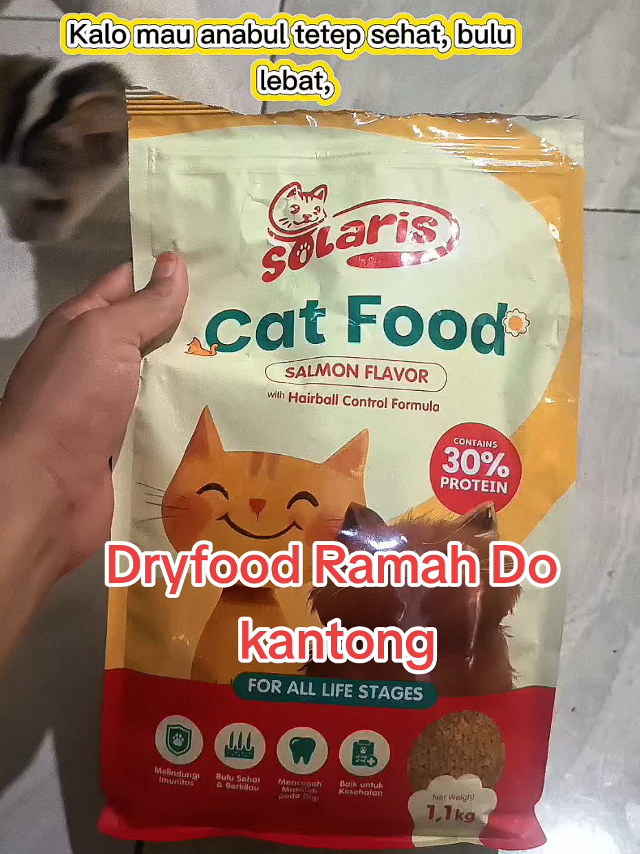 @Medayo Petcare
