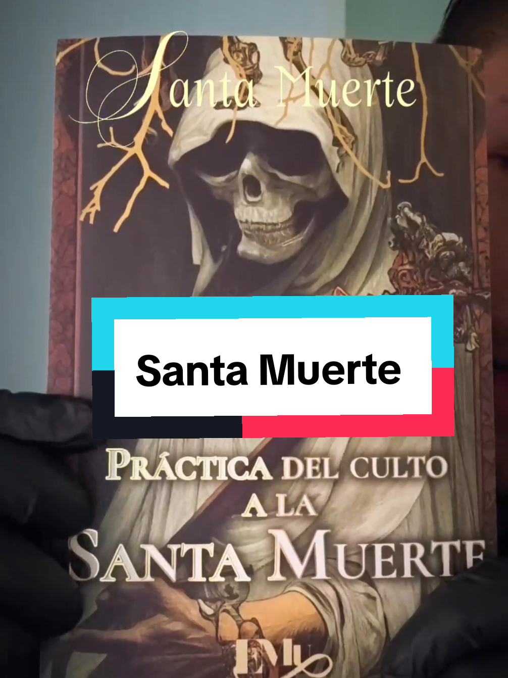 @ELCABALLERODELTIKTOK