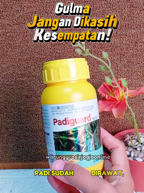 @warung grosir jogja online