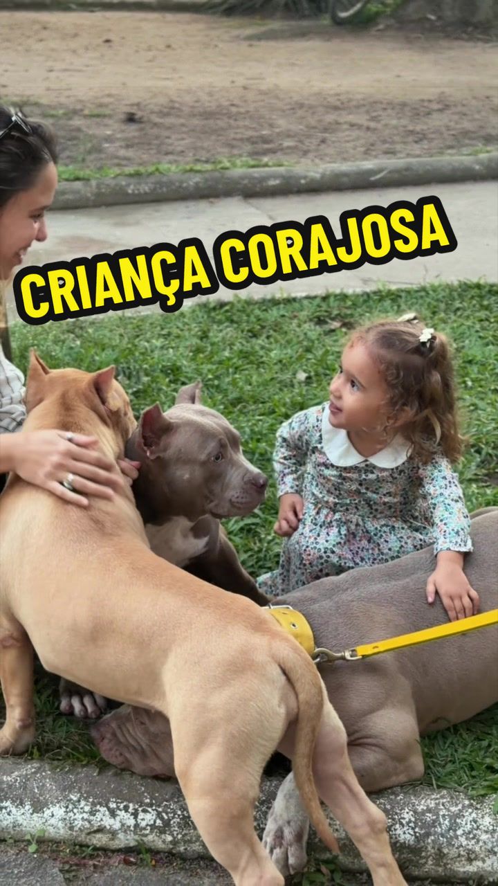 @Família Ragnar 🐶