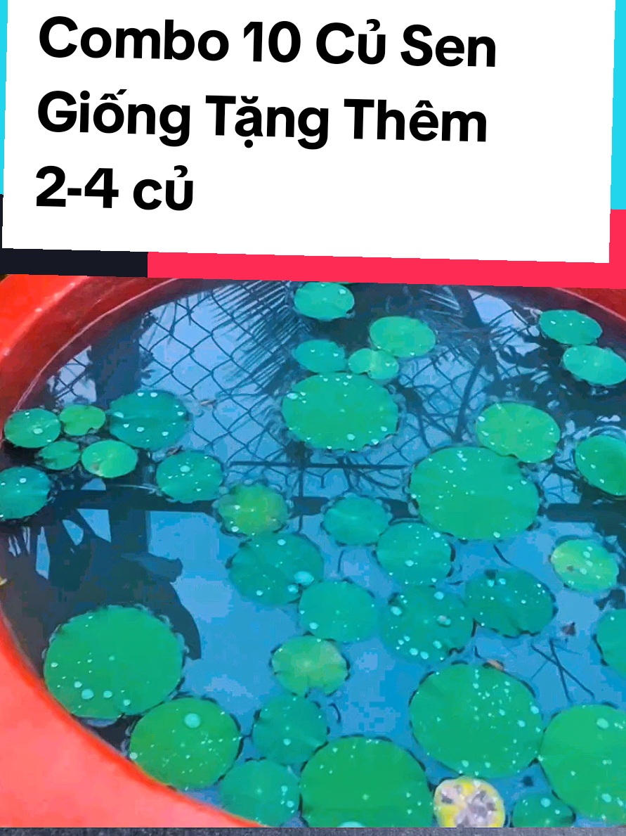 @@1Huyền Nguyễn