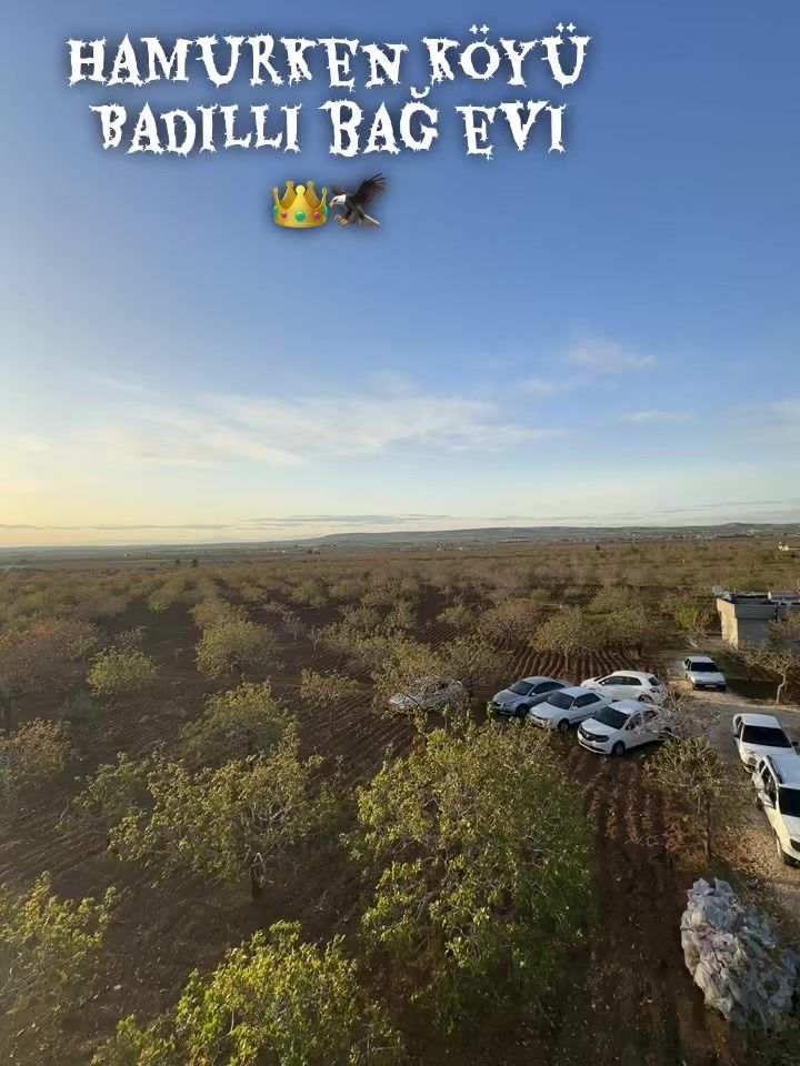 @Badıllı 63 🦅👑