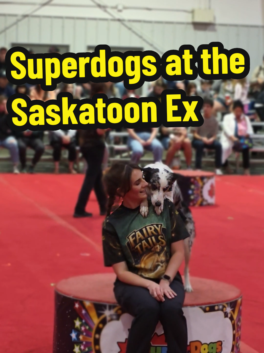 @Maygen / Sneaks YXE city guide