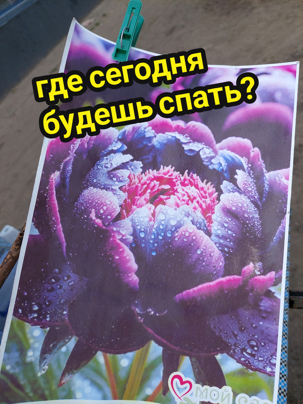 @Рыся✔️🇧🇾