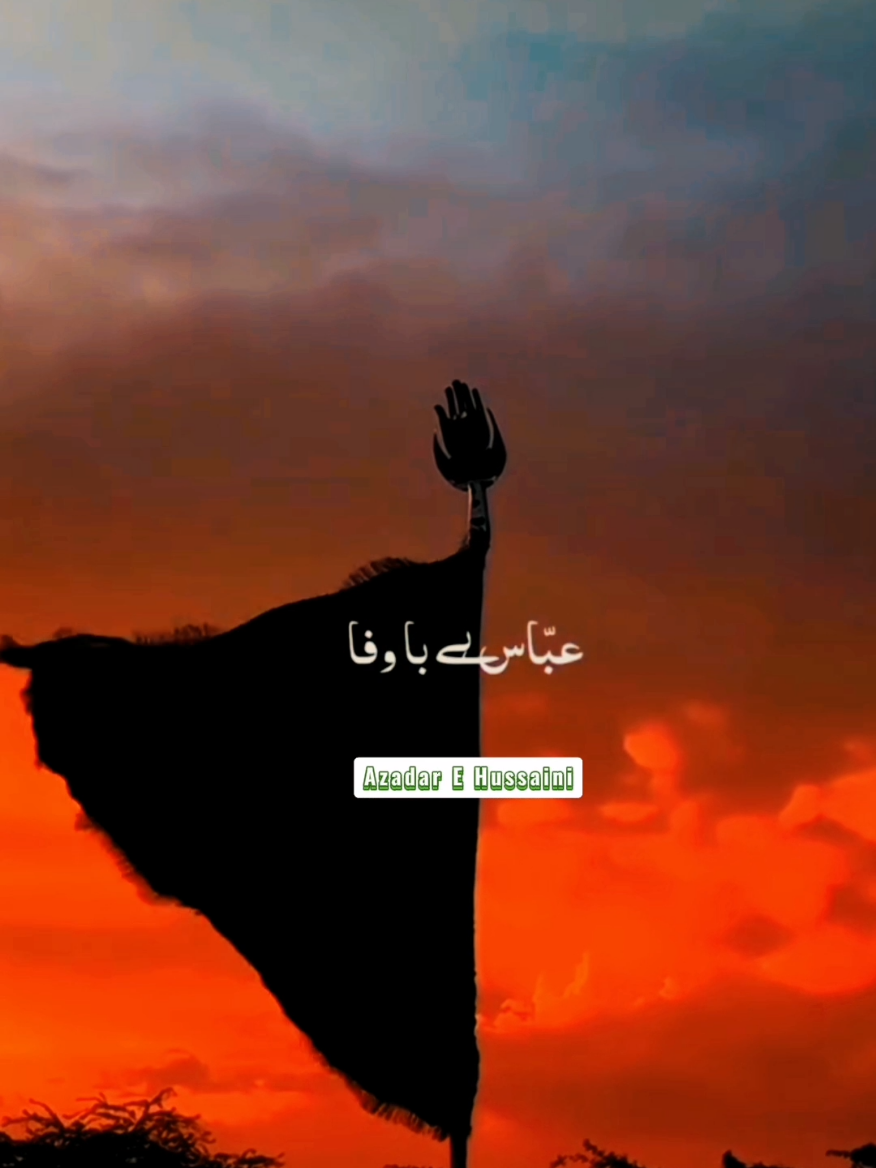 @Azadar E Hussaini
