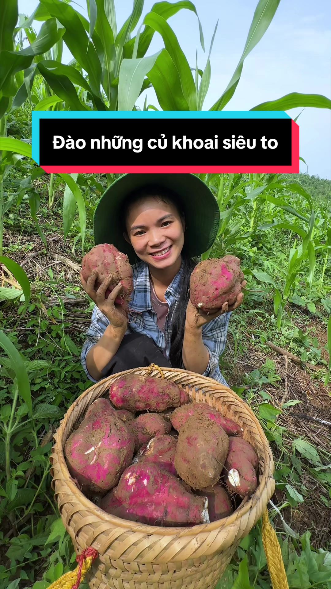@Nhi Dao Đỏ