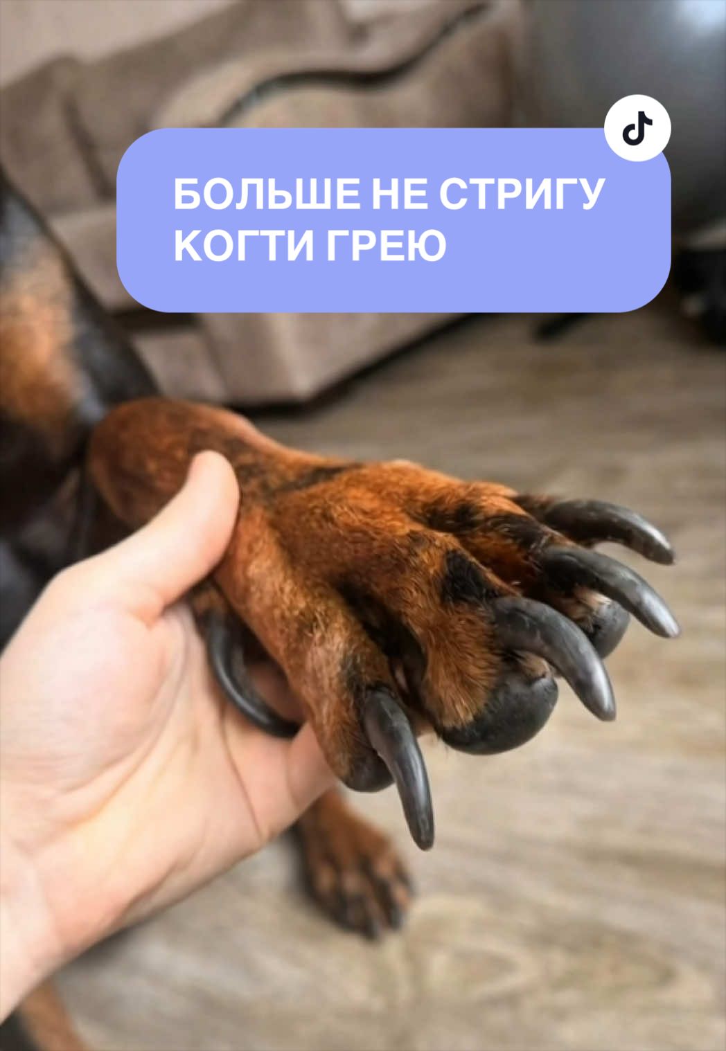 @Грей, но чёрный