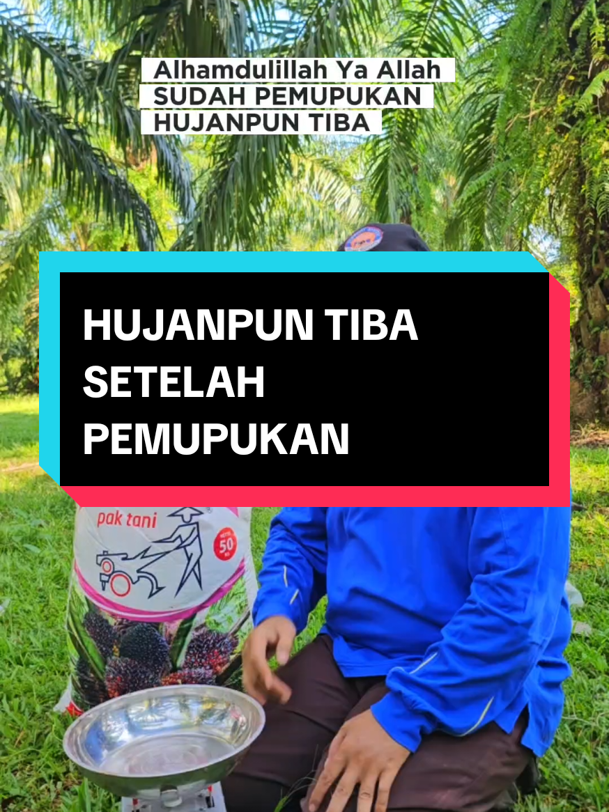 @Mr JARNAWI