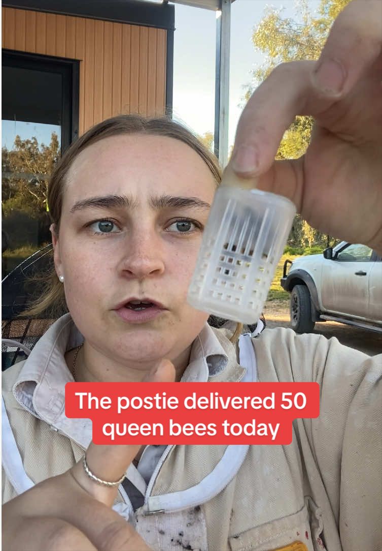 @phiasbees