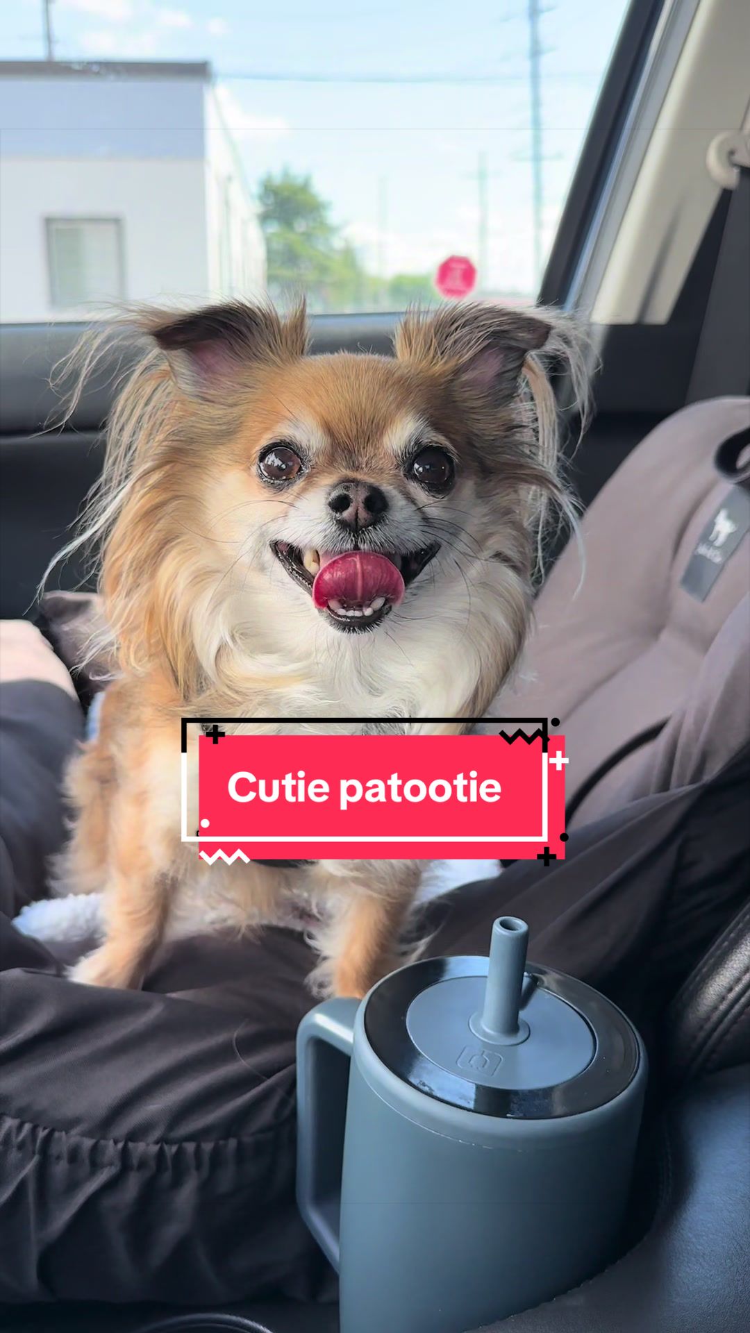 @mochi.and.ali