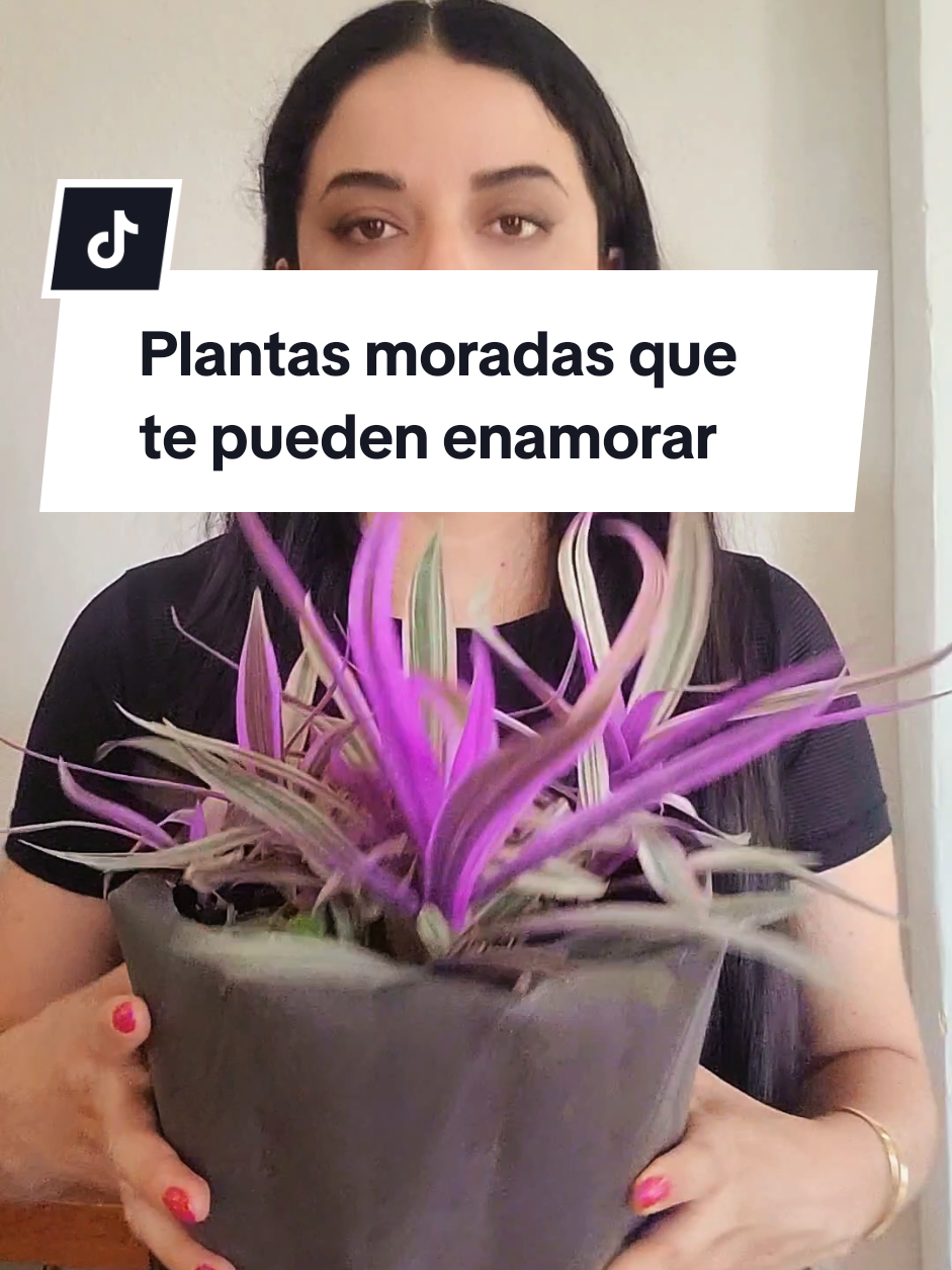 @Plantología🌿