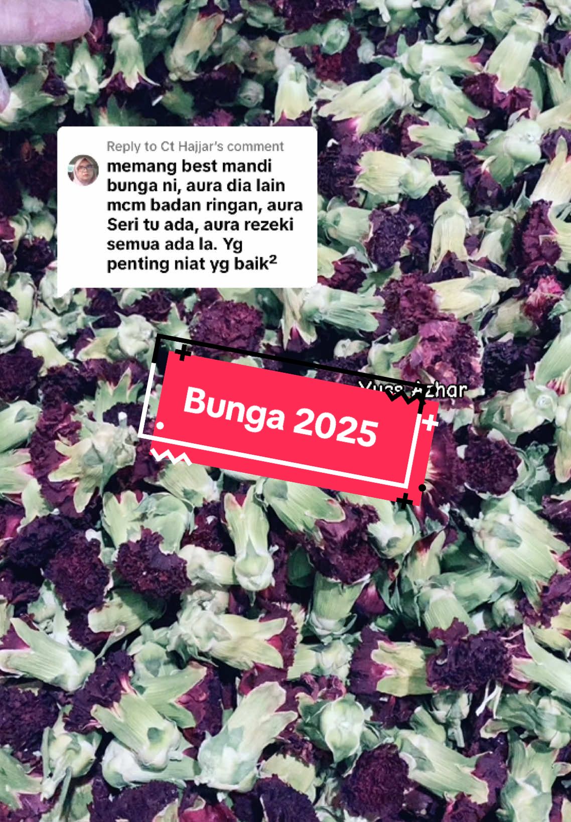 @Yusssss l Mandian Bunga🌹