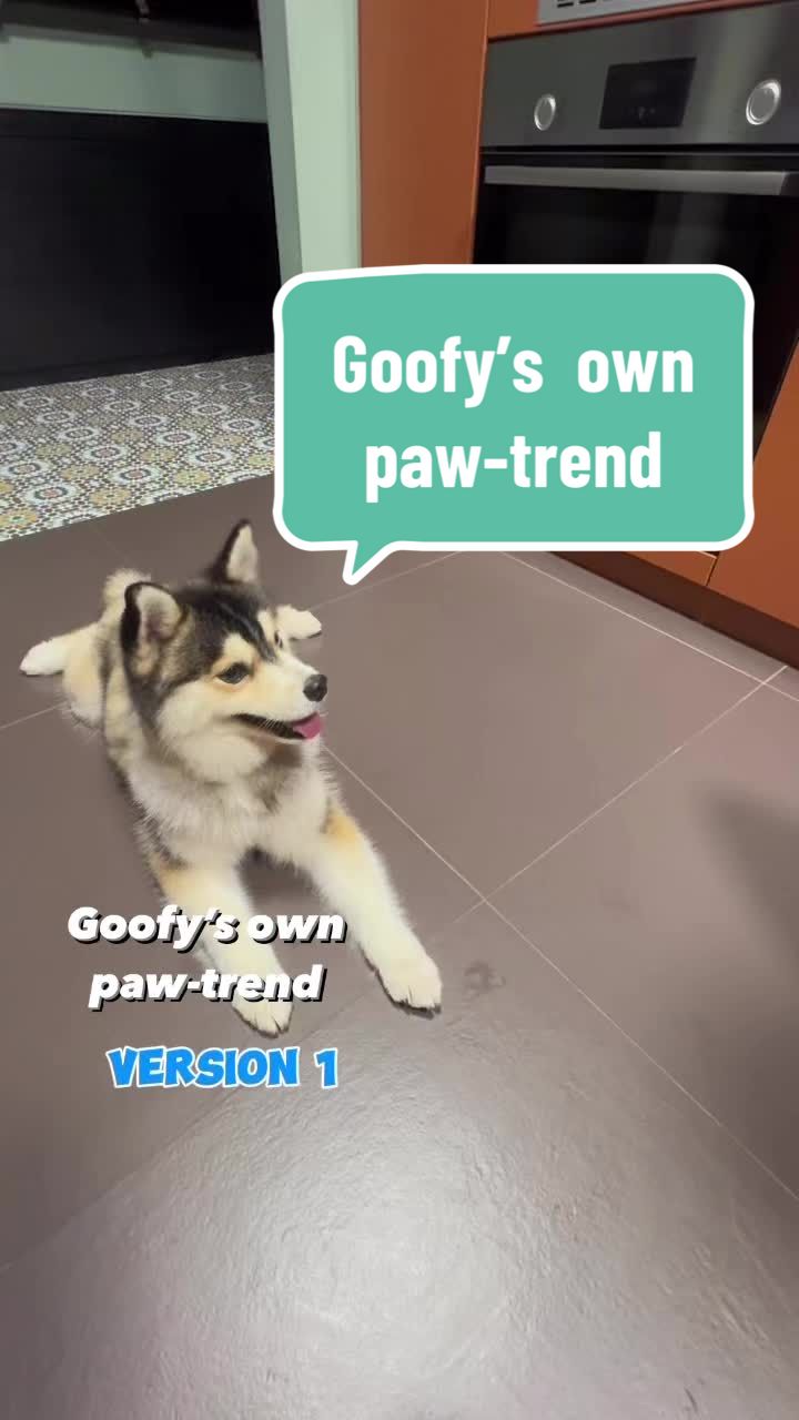 @Goofy&ensp;Dawg