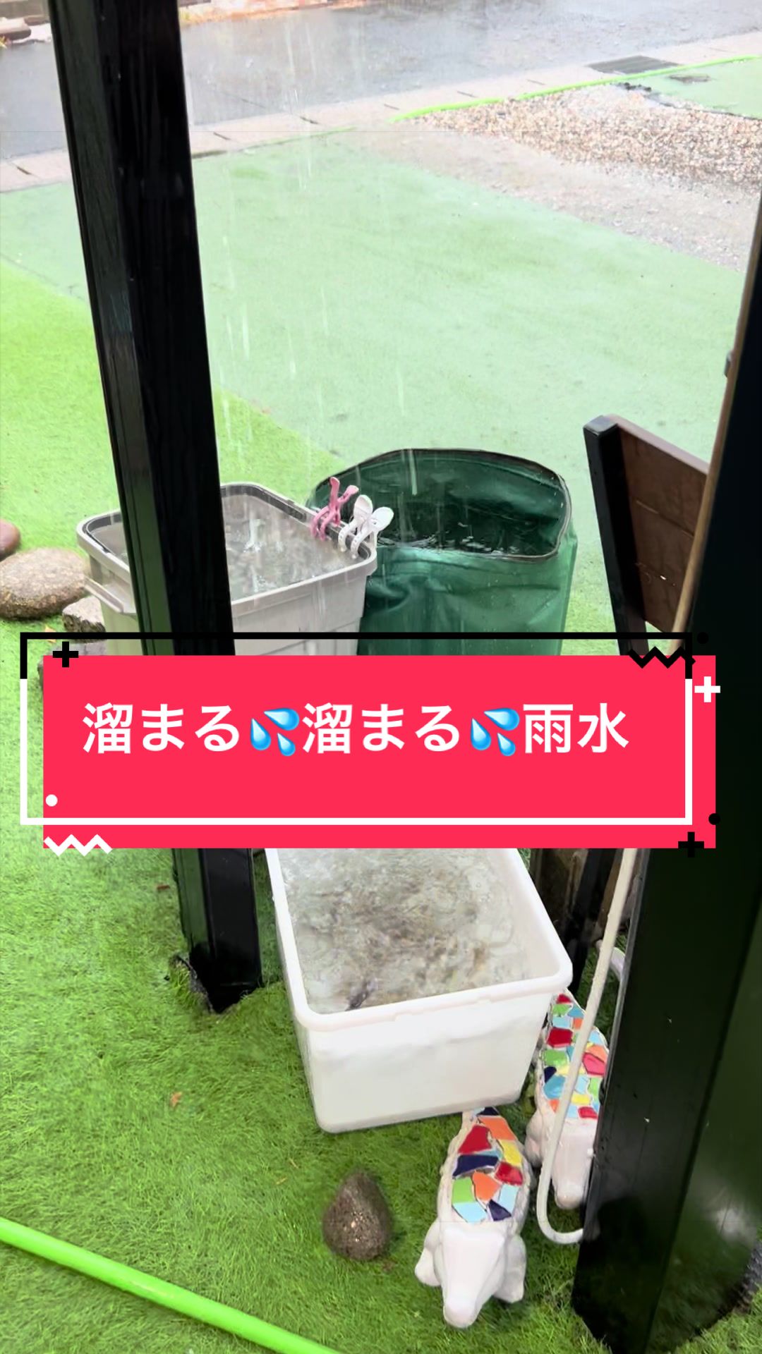 @カンキツ