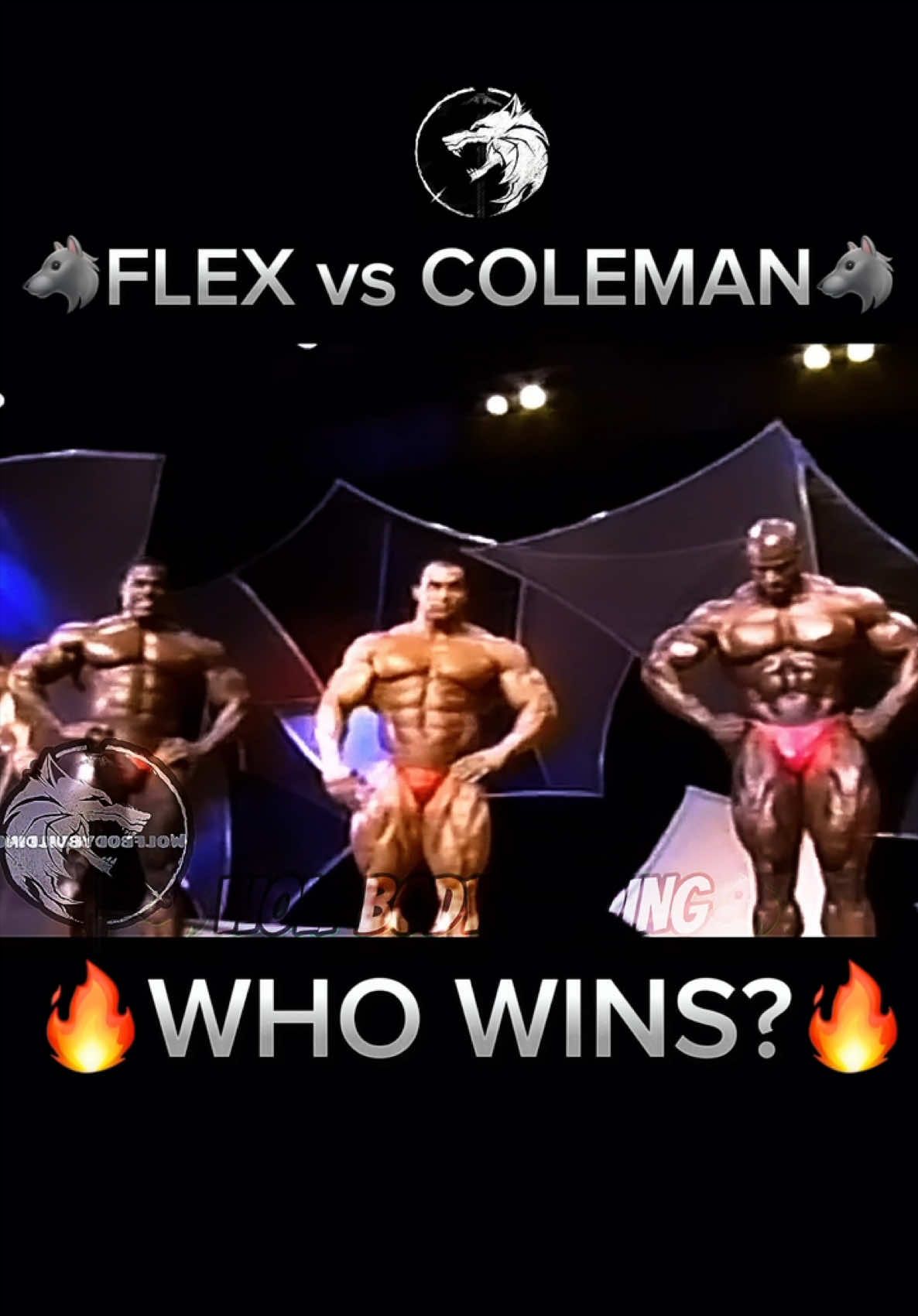 @wolfbodybuilding