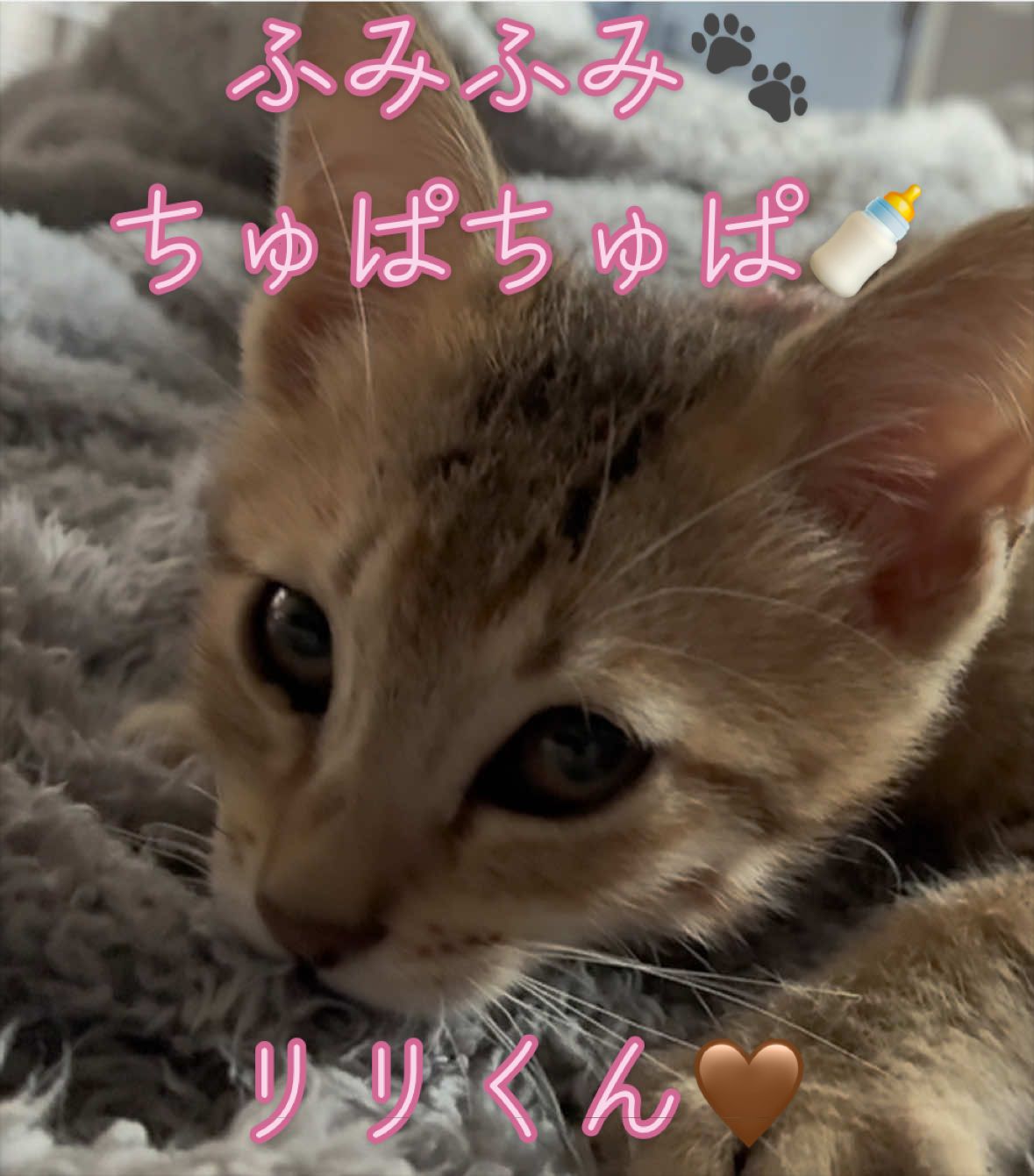 @はっぴー野郎☺︎