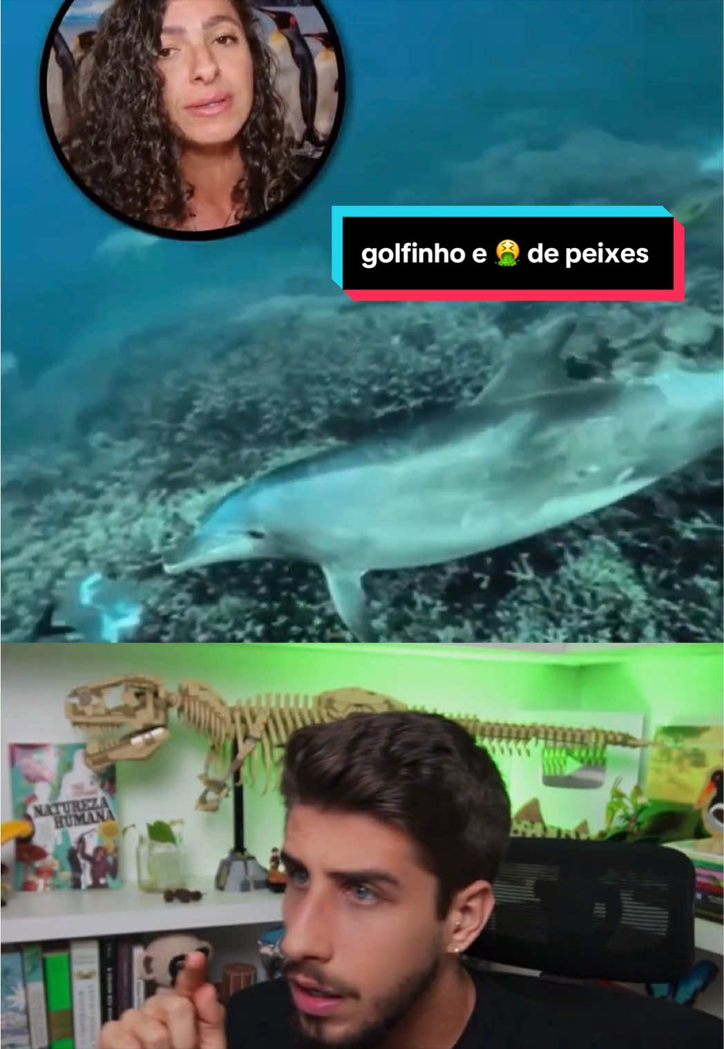@Yago Stephano