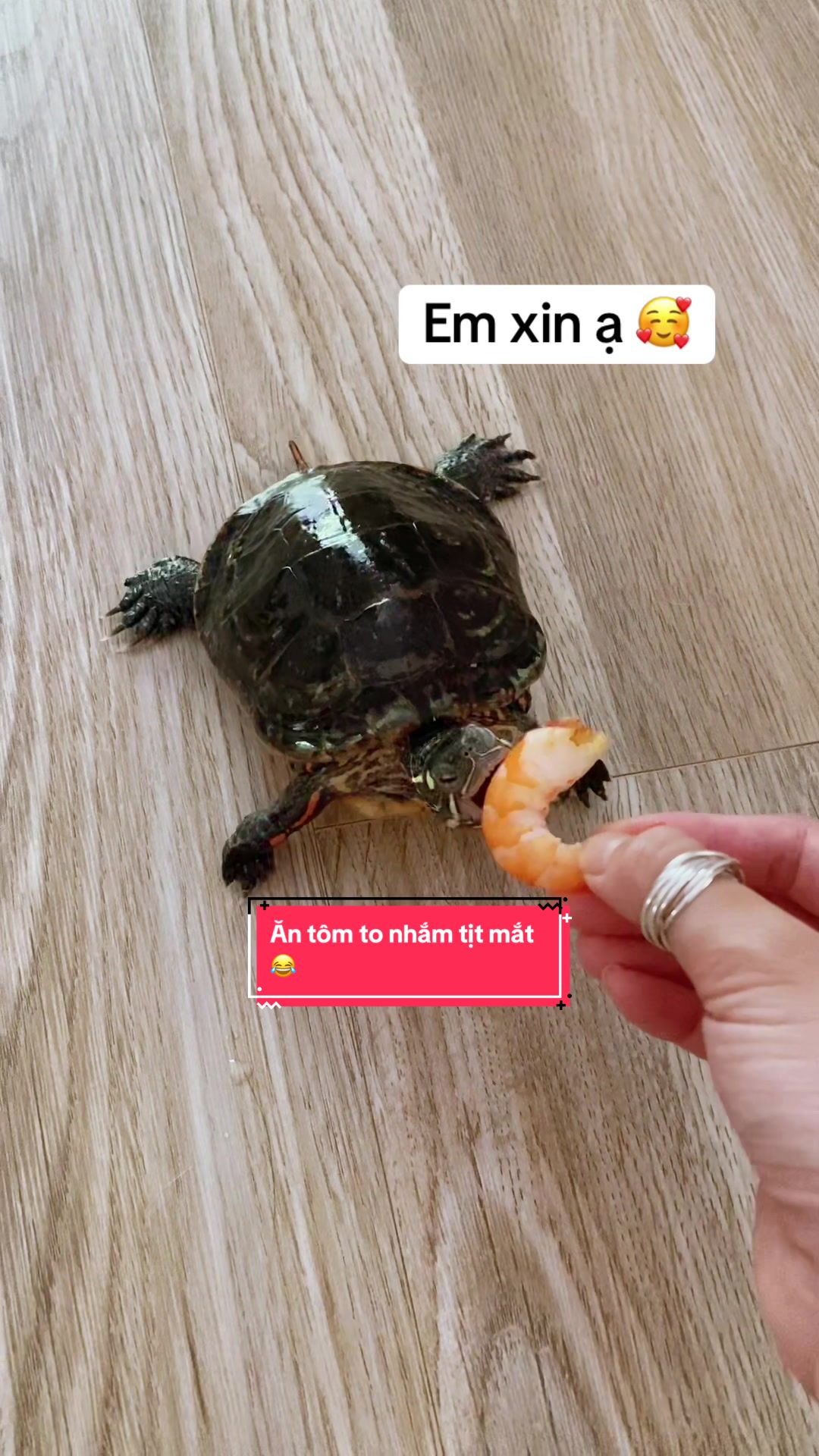 @Nh&agrave; c&oacute; r&ugrave;a v&agrave; ch&oacute;