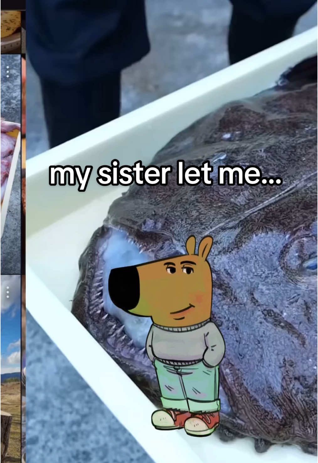 @chillguy_stories