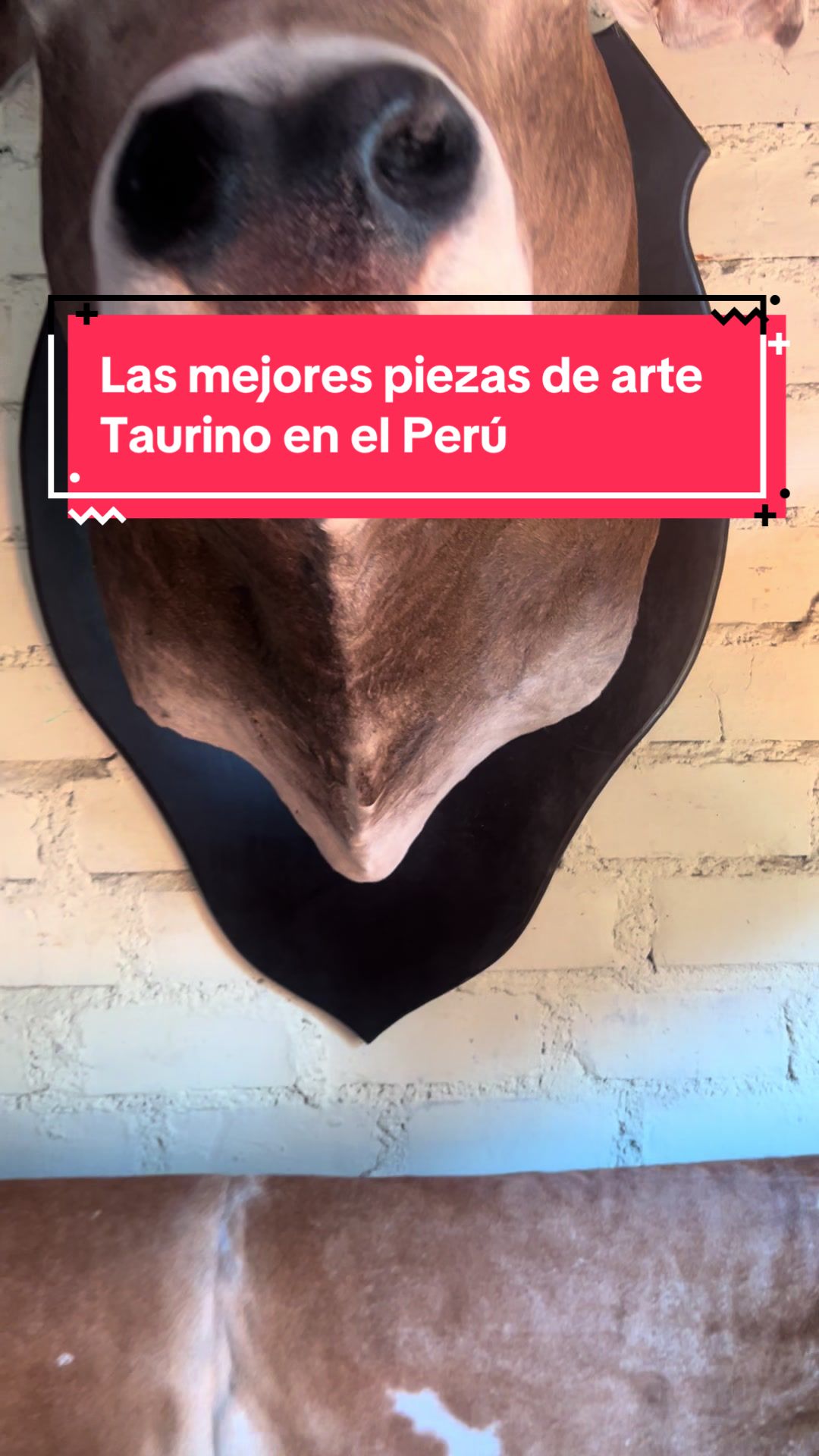 @taxidermiadecorperu