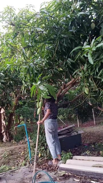 @ทิพย์ใช้เองรีวิวจริง
