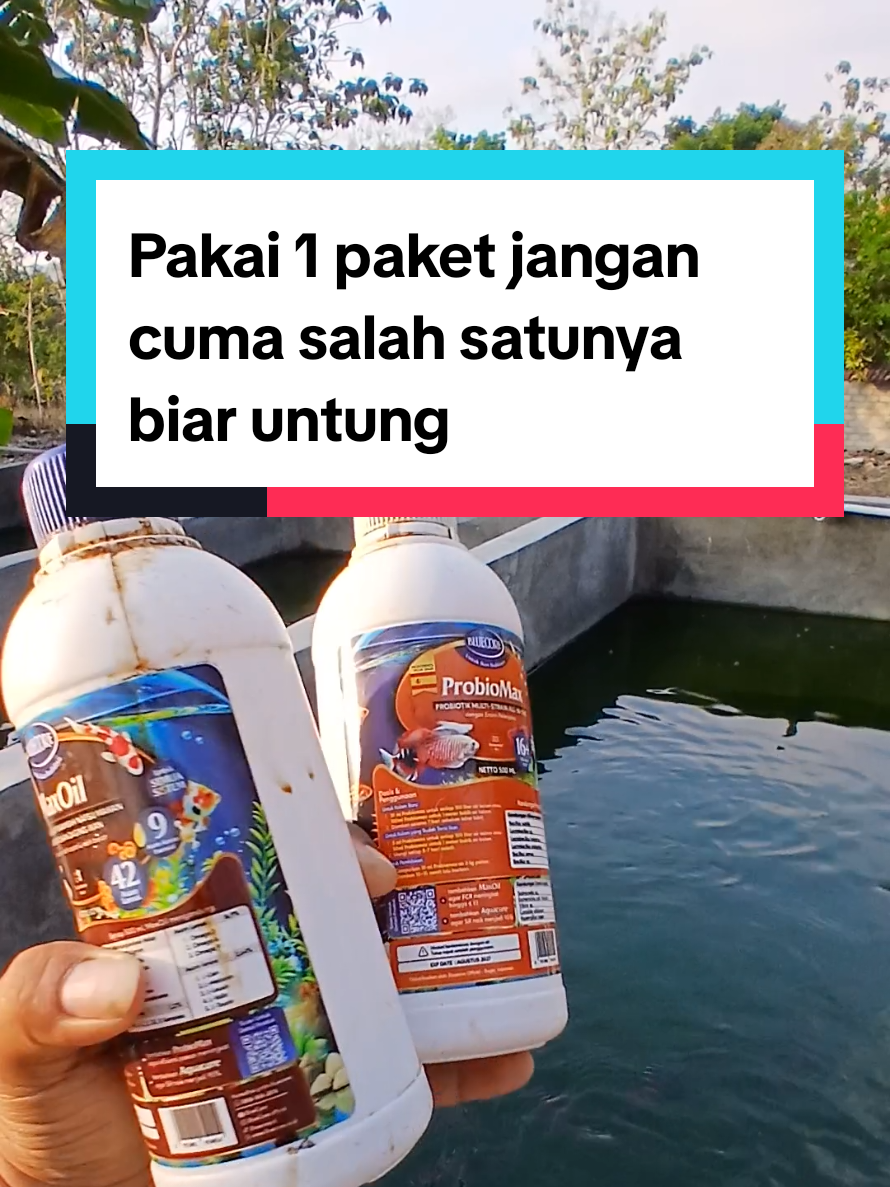 @Kang_Ewi