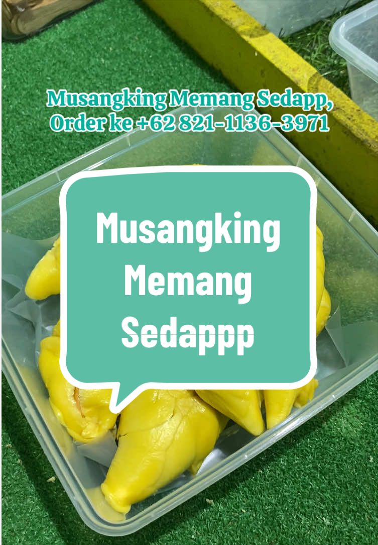 @Rumah Tamma Durian