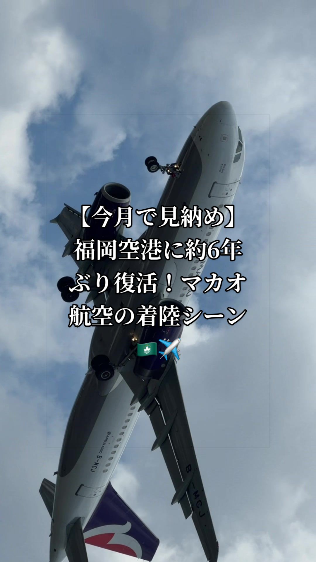 @✈️トト旦