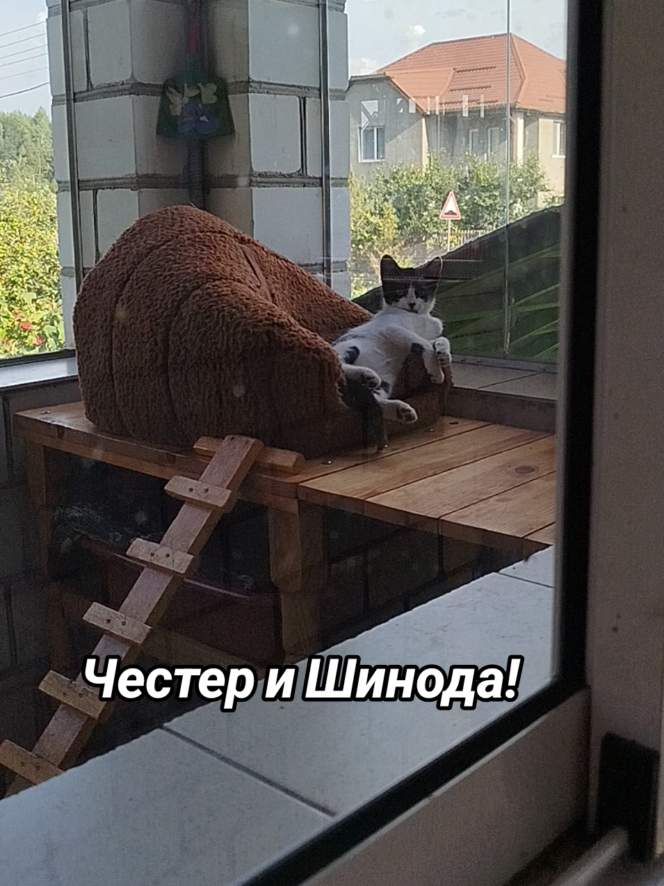 @IRINA