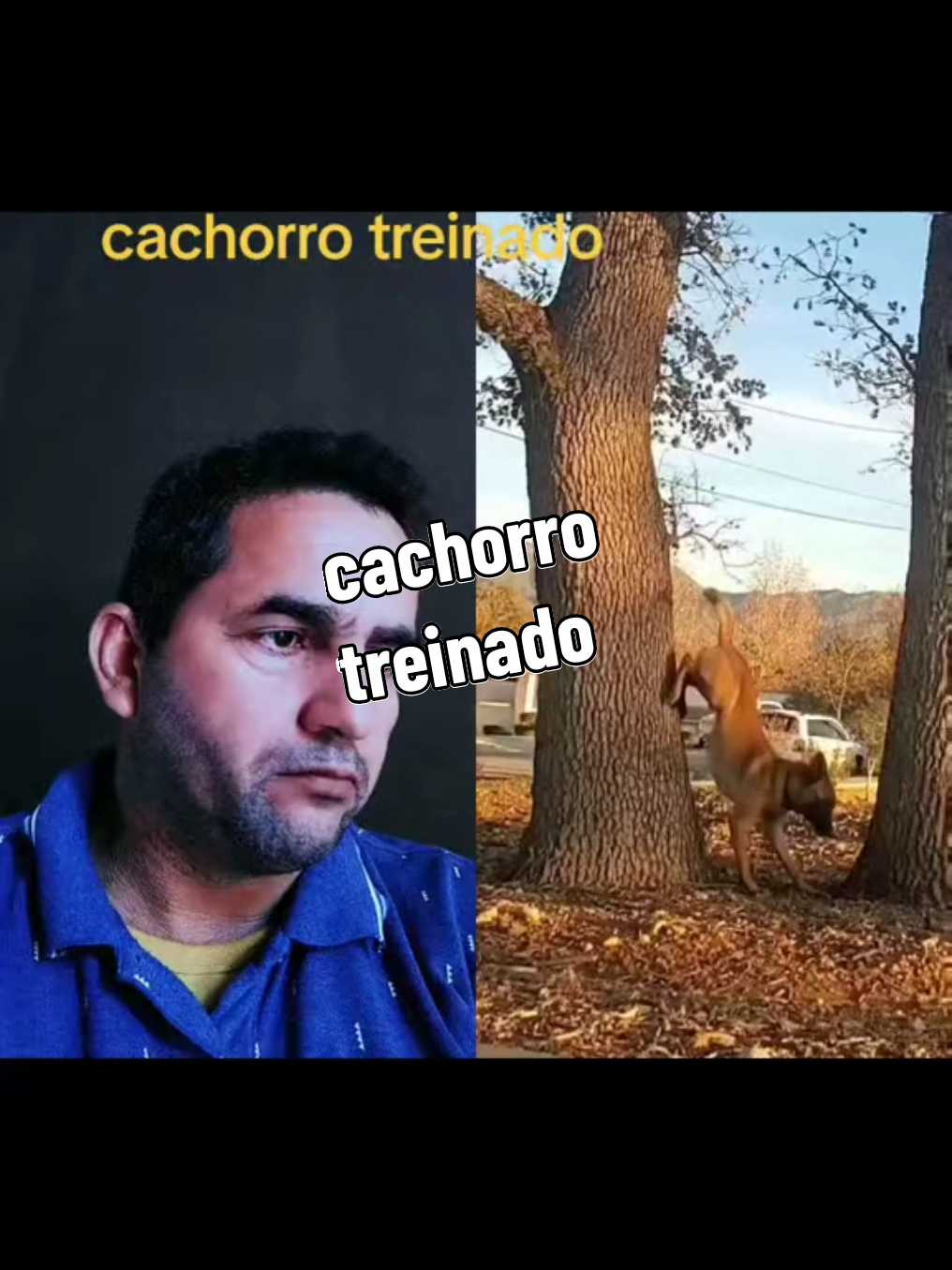 @Manoel Motivação🙏😍