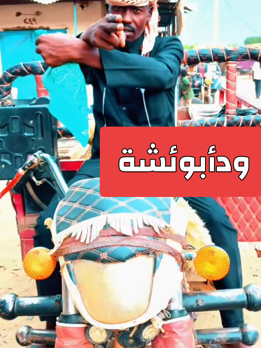 @ودأبوعائشة ✍️🦅⚖️🇸🇩