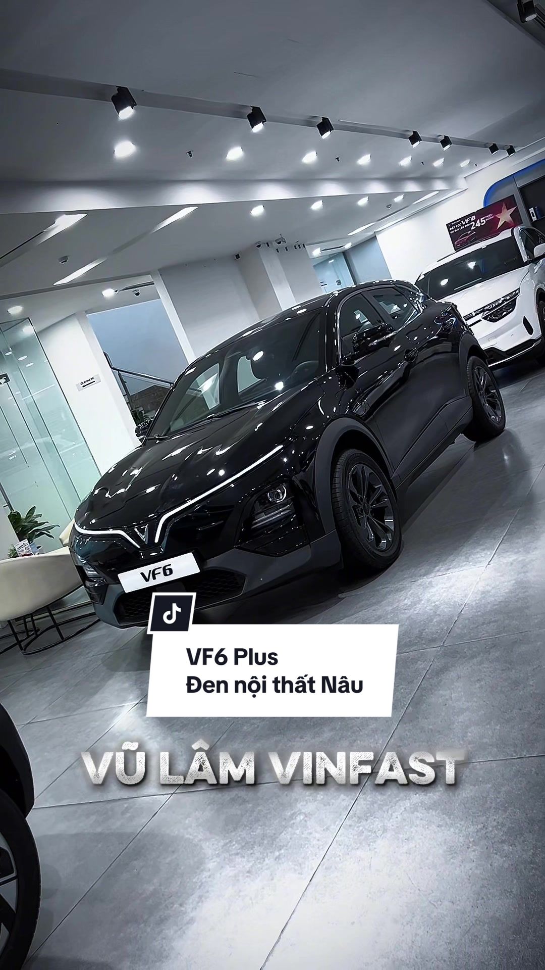 @Vũ Lâm VinFast🚘🍀