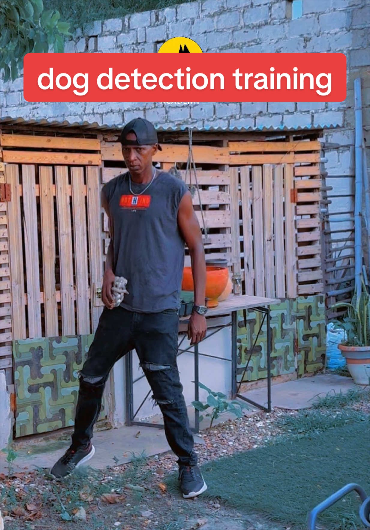 @Dog Master