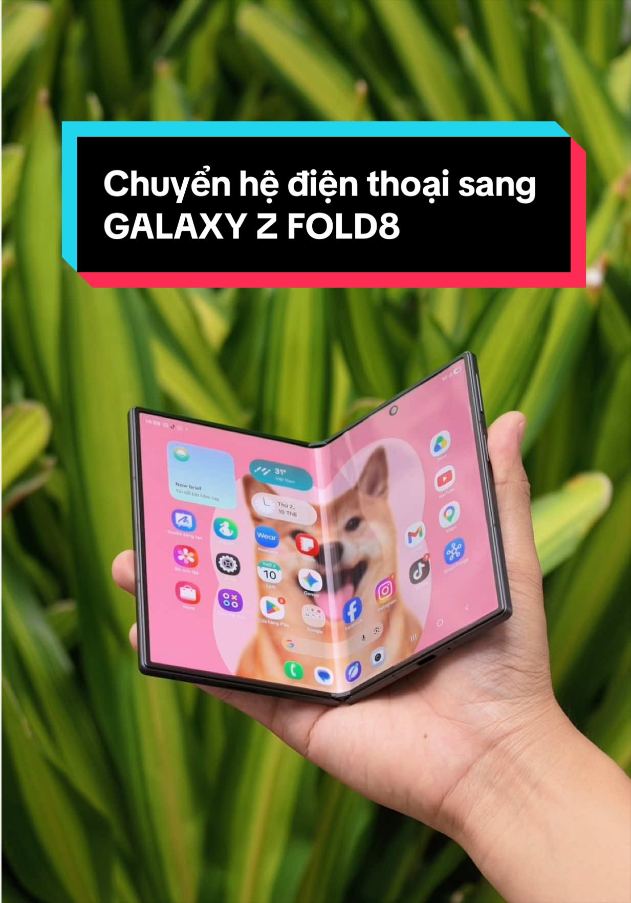 @Tui Sập nè !