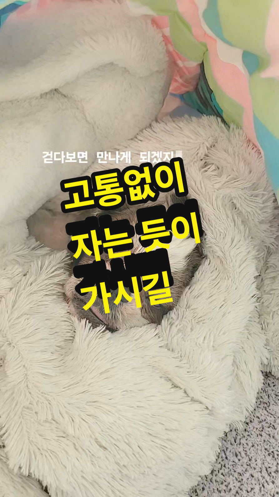 @할미니티