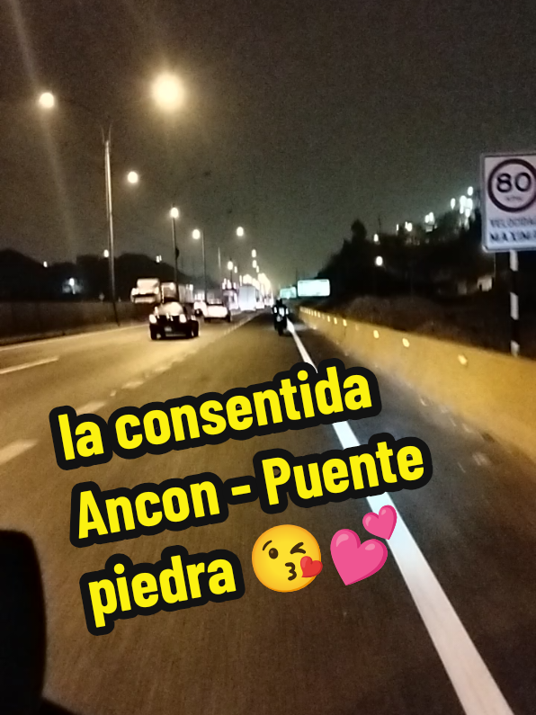@Yurico🐯🦁
