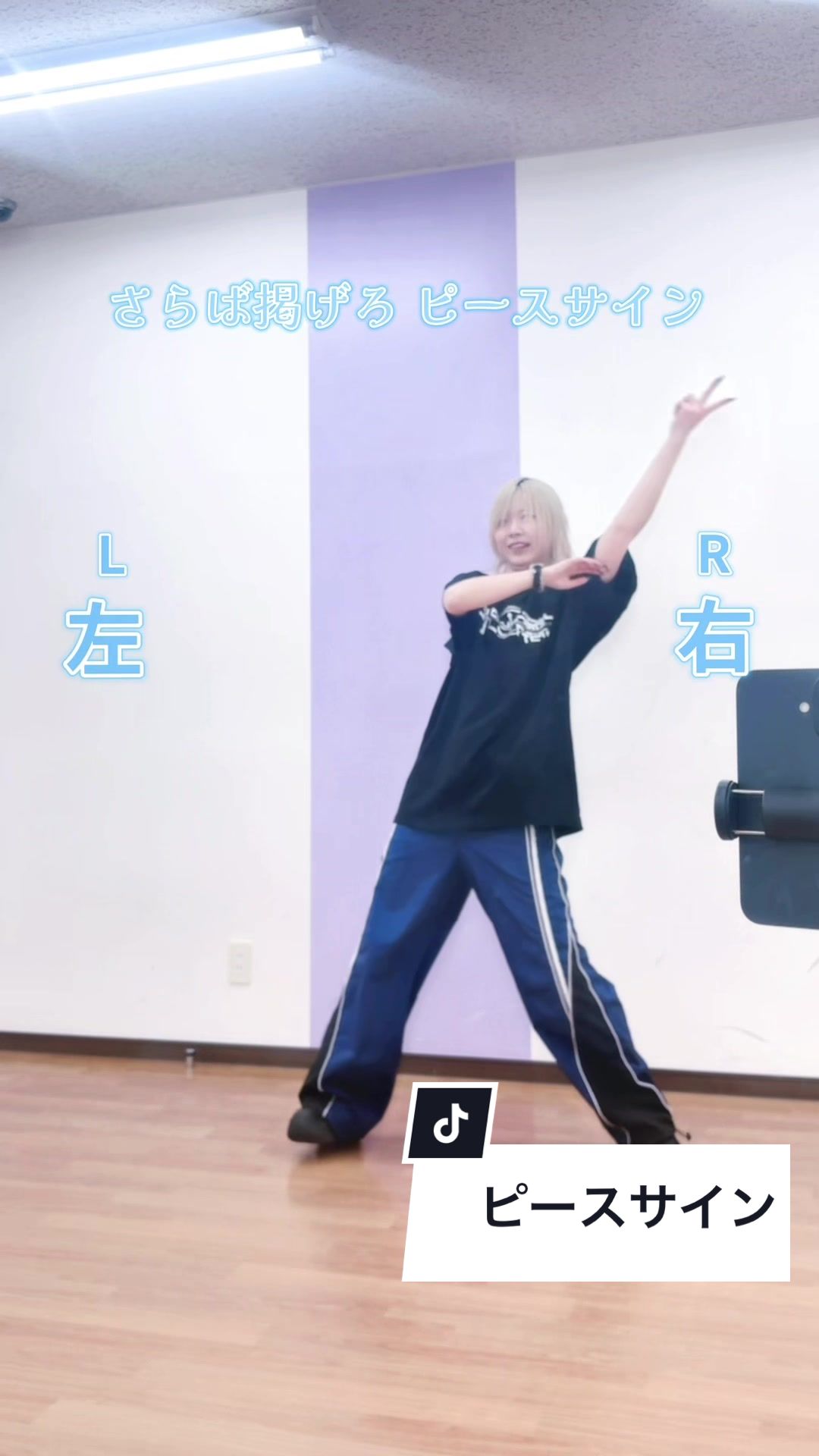 @反転踊ってみたのほり🐺🪐