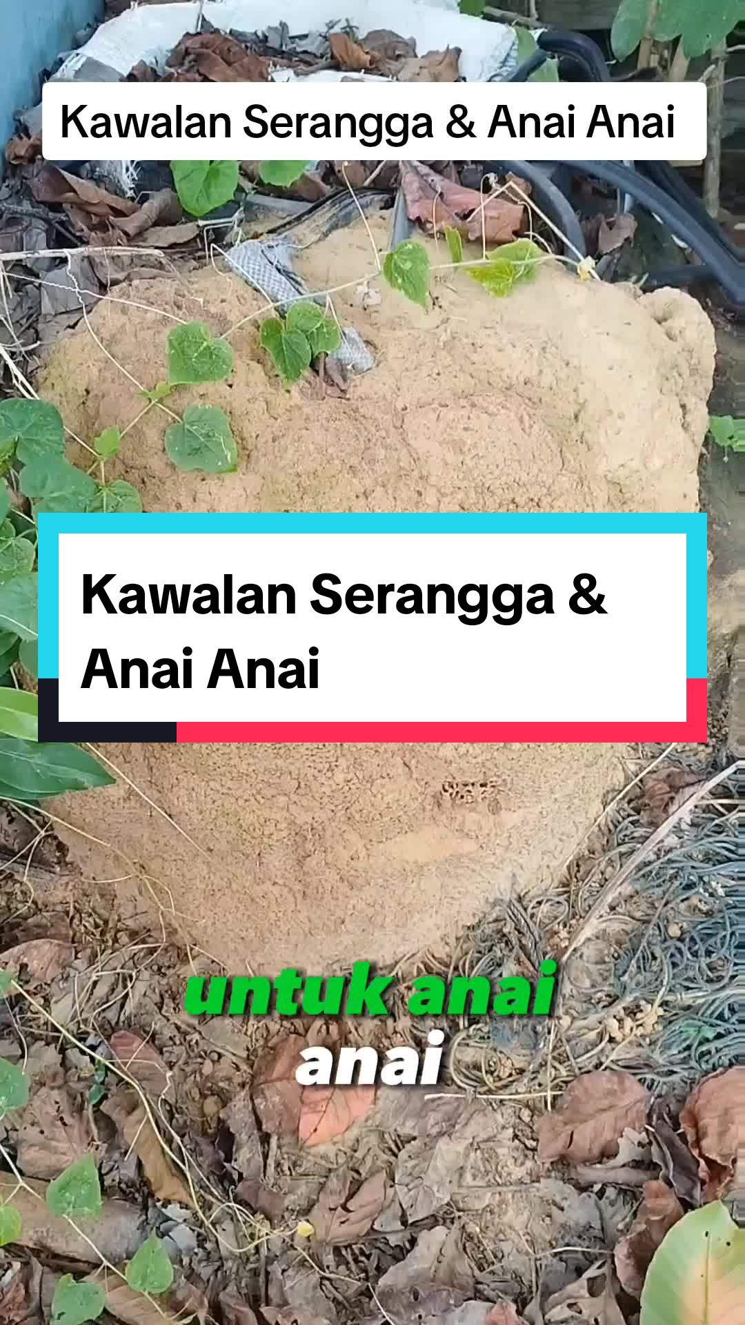 @𝙏𝙪𝙖𝙣 𝘽𝙨𝙧🍉