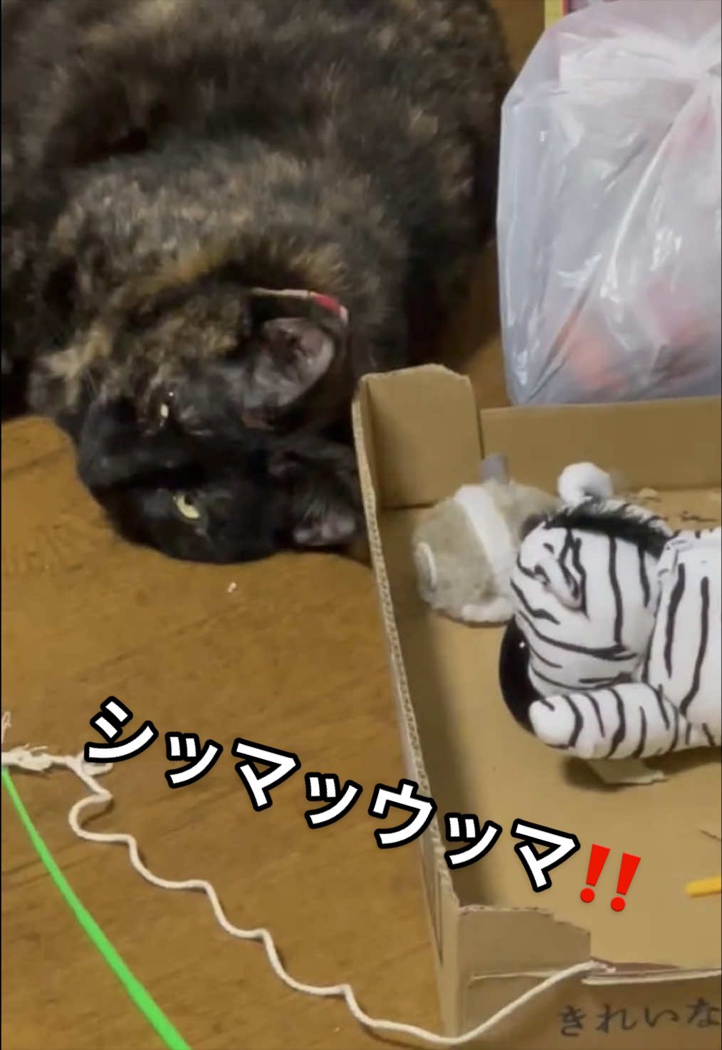 @聴々物語PROJECT