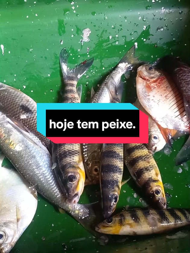 @menina do interior